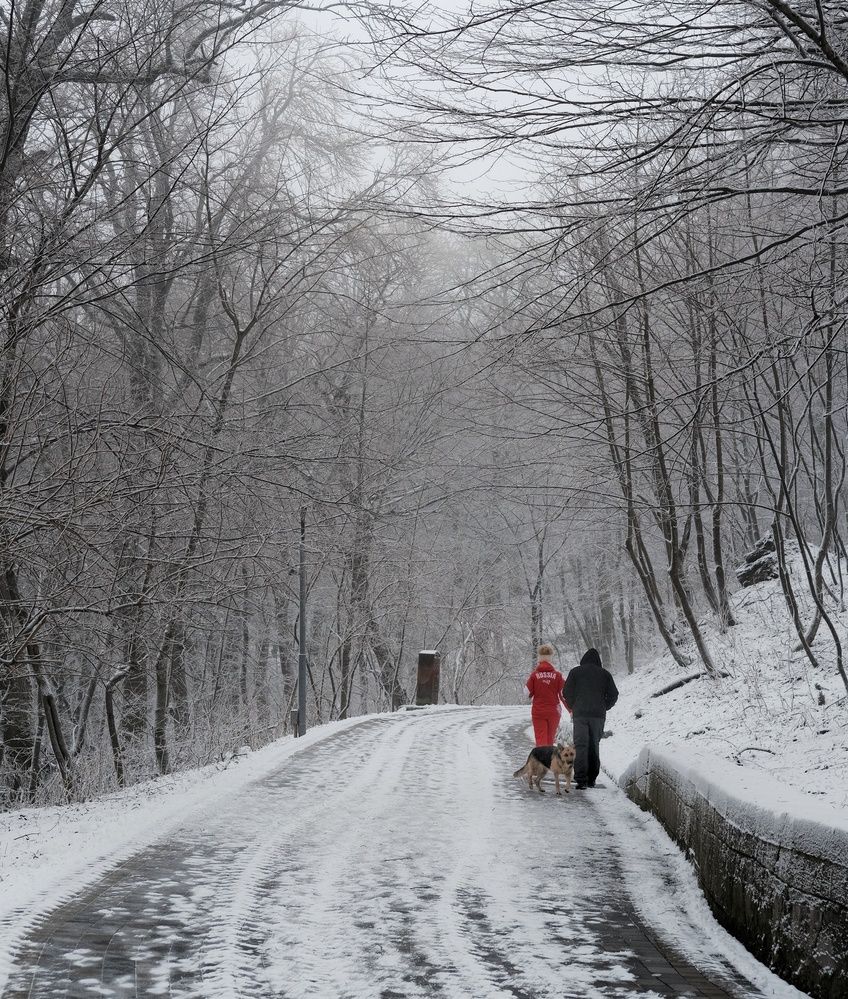 Photograph by Сергей Кошин