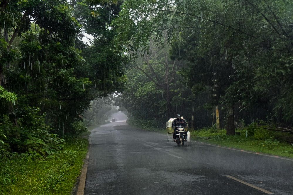 Photograph by Trinmay Bera