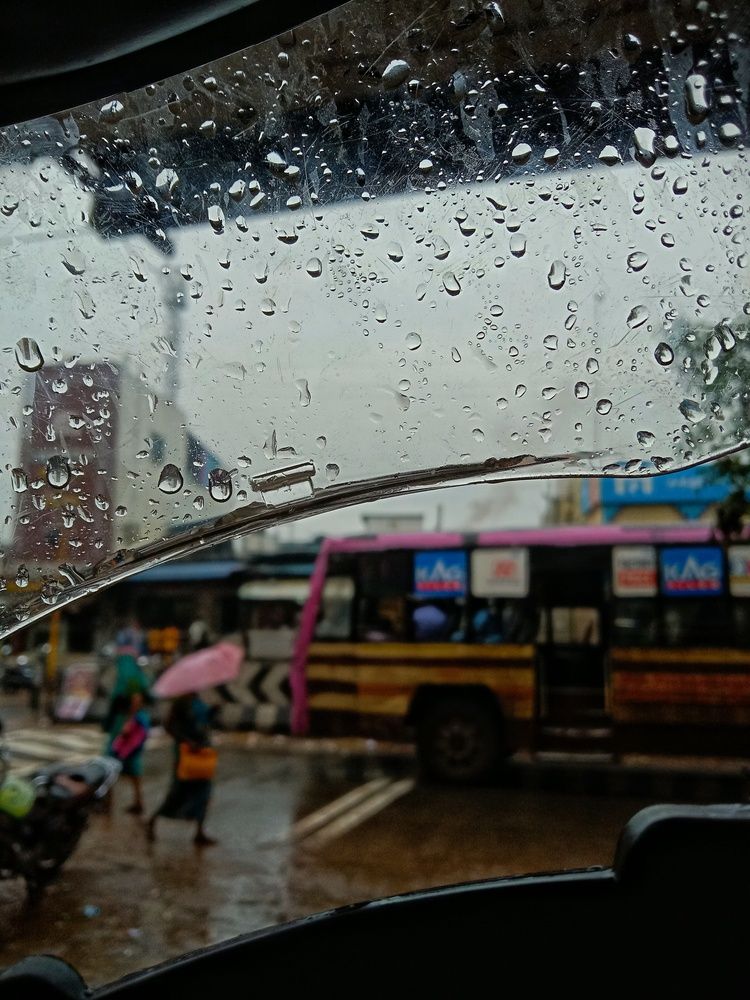 Фотография автора Captured Chronicles