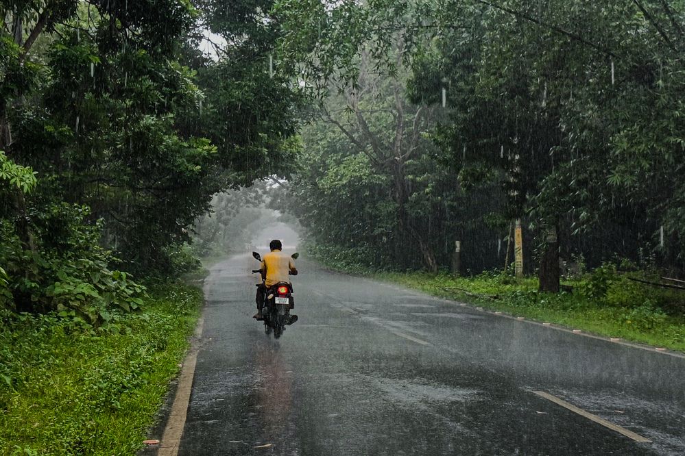 Photograph by Trinmay Bera