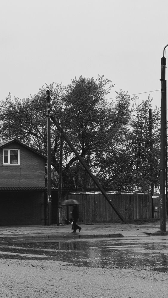 Фотография автора Анна Морозова