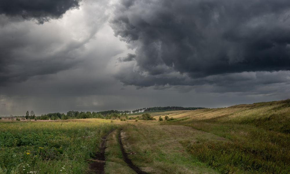 Солнечная поляна.