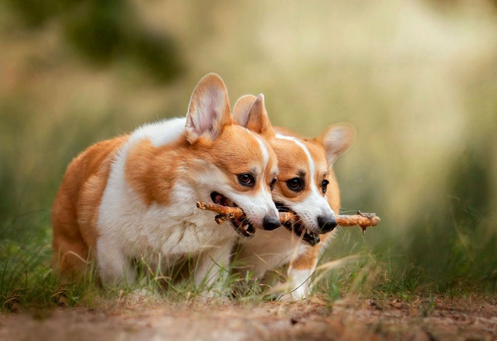 Photograph by Светлана Лукашкина