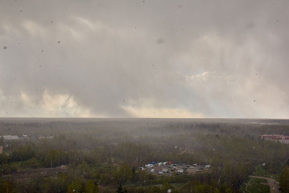 Photograph by Дмитрий Петров