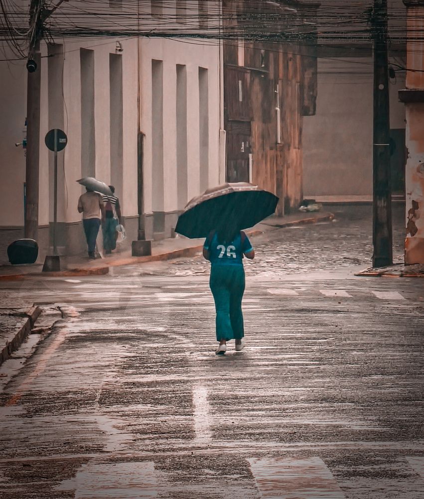 Фотография автора Walfrido Alexandre