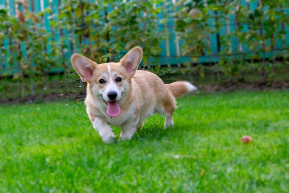 Photograph by Alex P