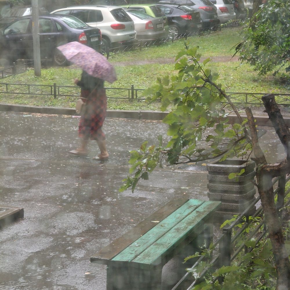 Под дождем