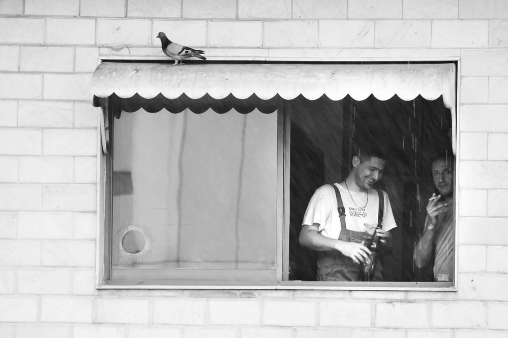 Photograph by hasan sorena jouri