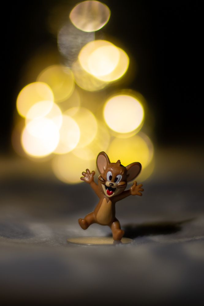 Фотография автора Алёна Подгорная