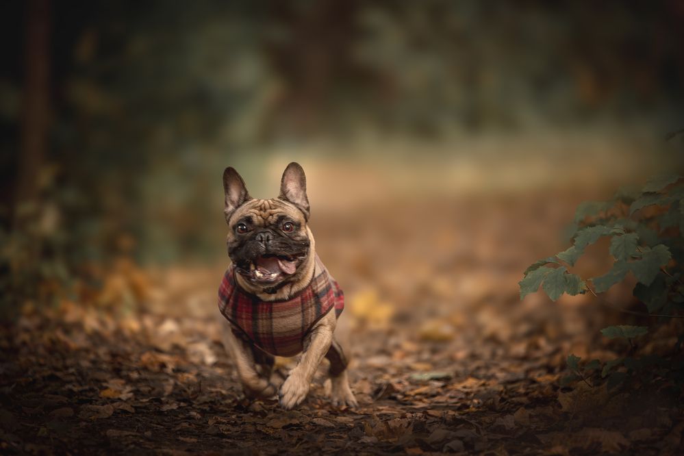 Photograph by Елена Самусенкова