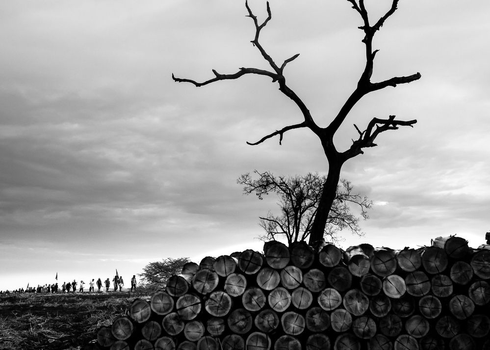 Photograph by Sergio Simões