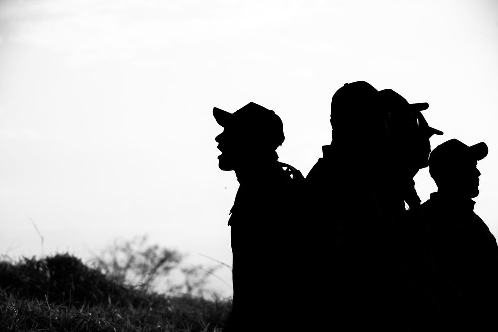 Photograph by Sergio Simões