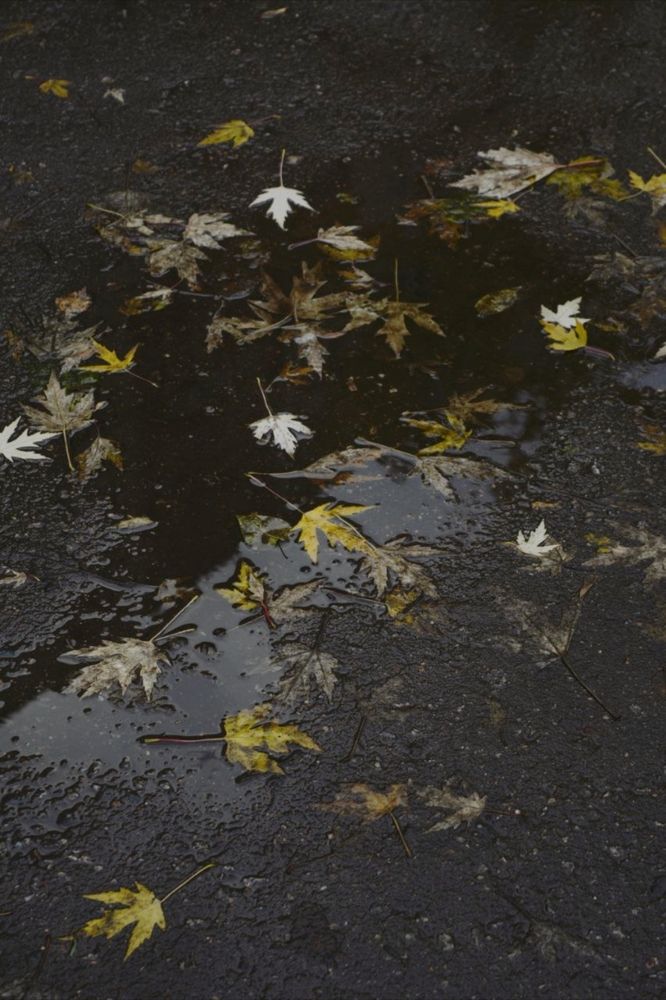 Photograph by Елена Фурашова