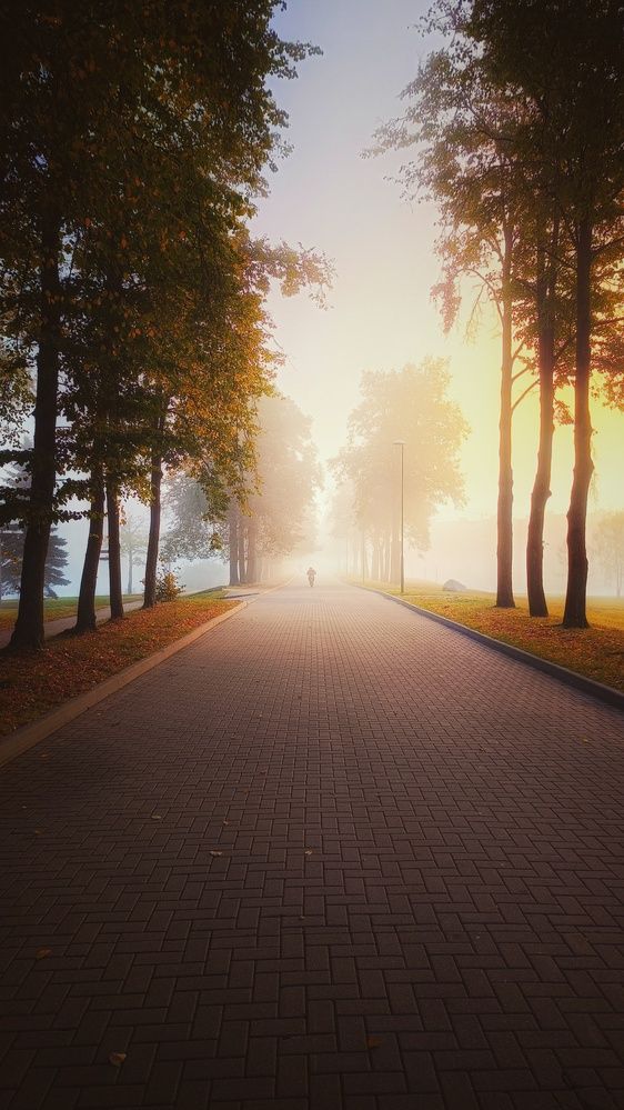 Photograph by Leanid Kulpo