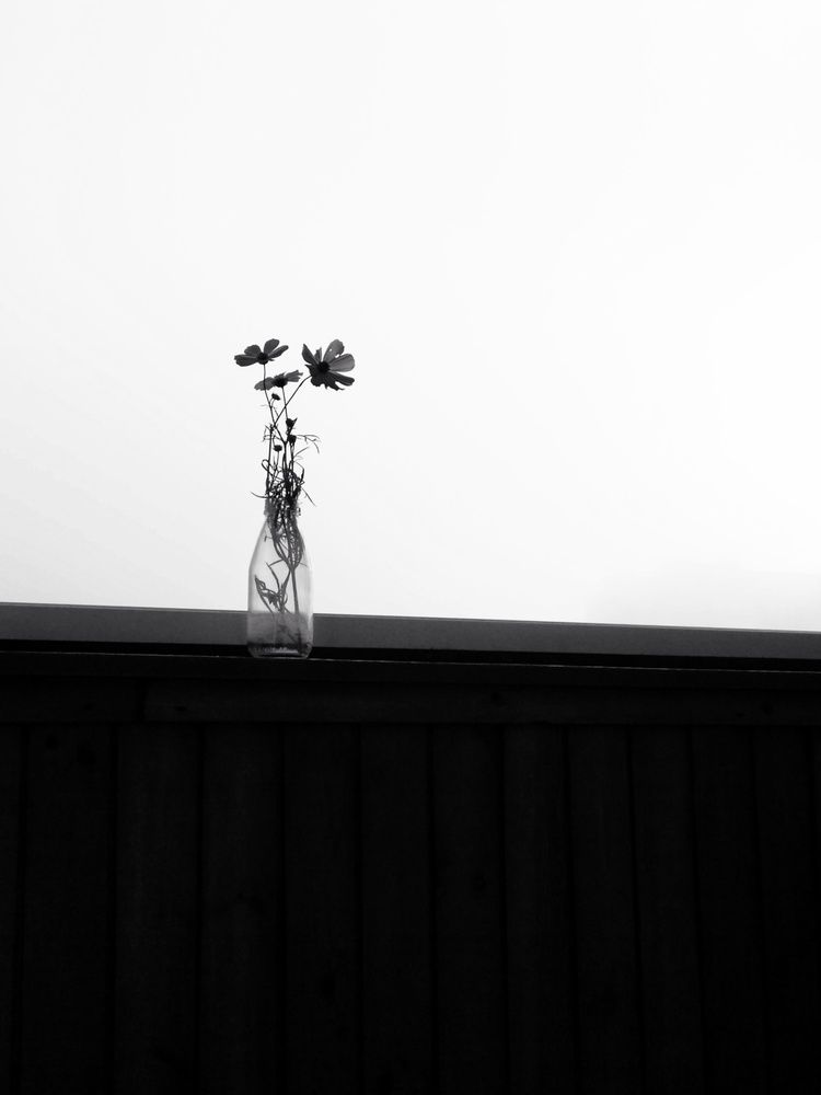 Bnw summer