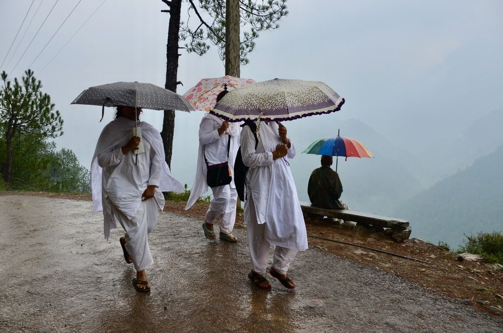 Зонтик - дело вкуса