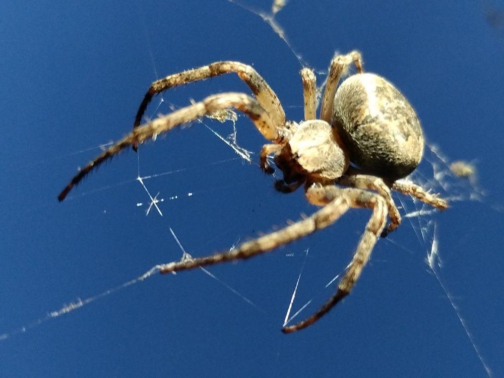 Photograph by Лилия Пипко