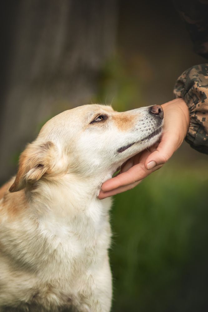 Фотография автора Виктория Лисякова