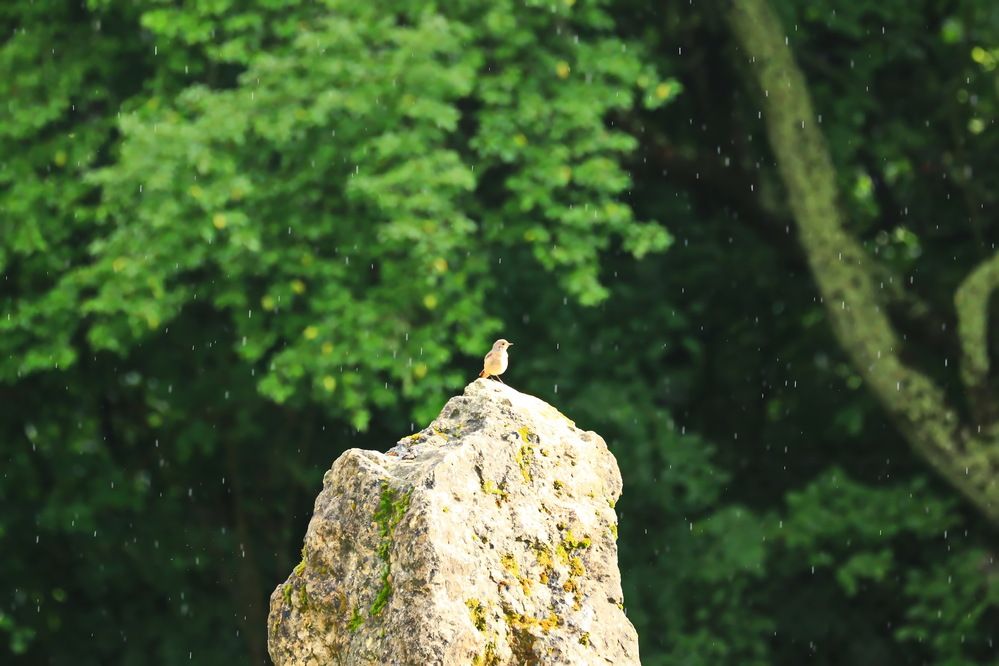 Фотография автора Сергей Кульков