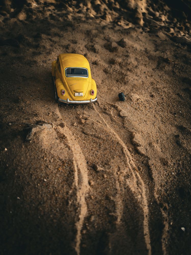 Фотография автора Екатерина Никитина