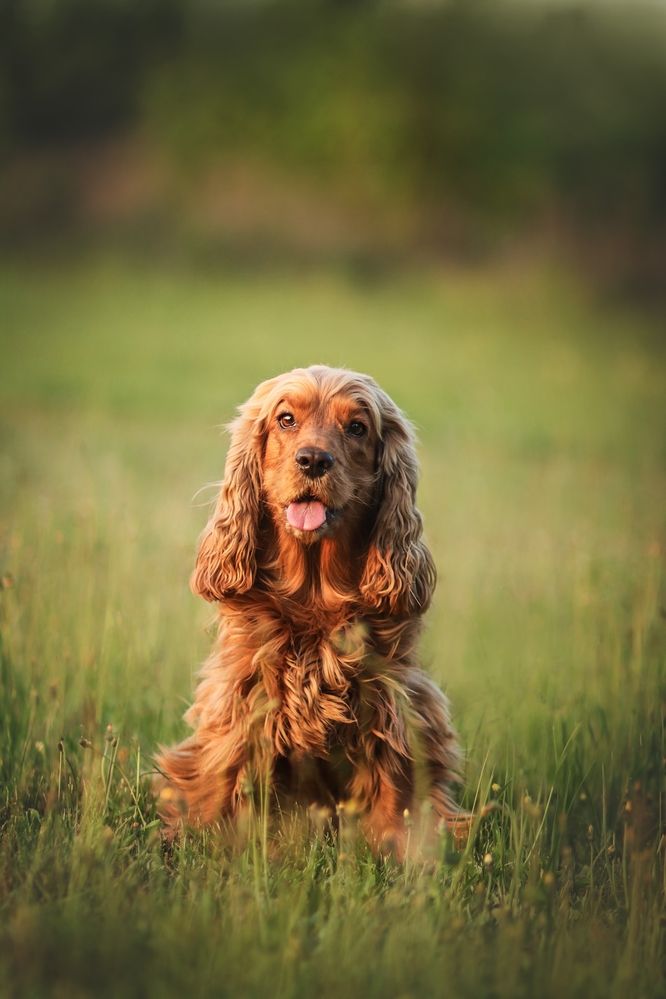 Фотография автора Виктория Лисякова