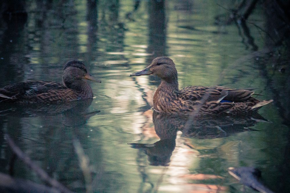 Photograph by Морозов Алексей
