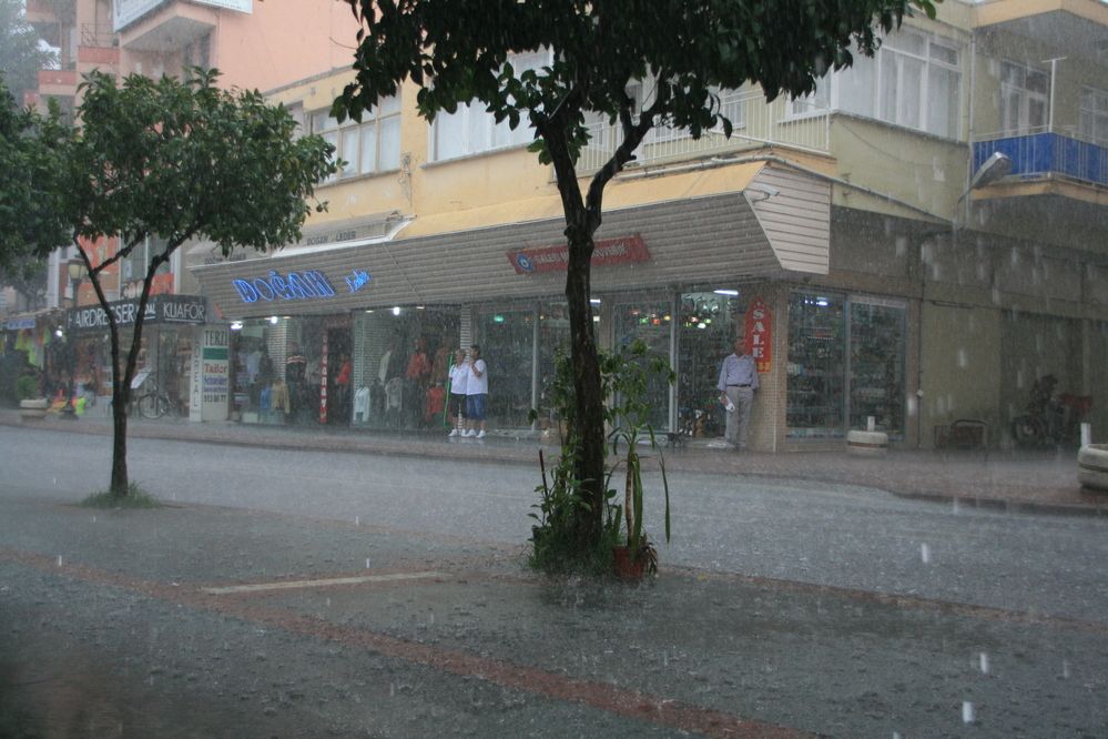 Фотография автора Сергей Кульков