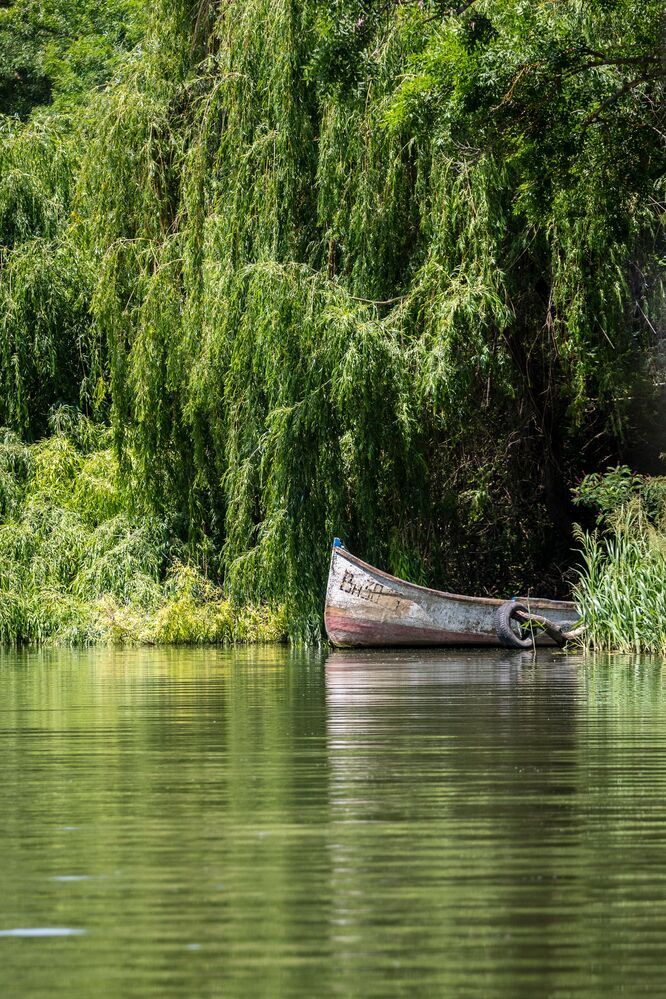 Photograph by Adelina Vasileva