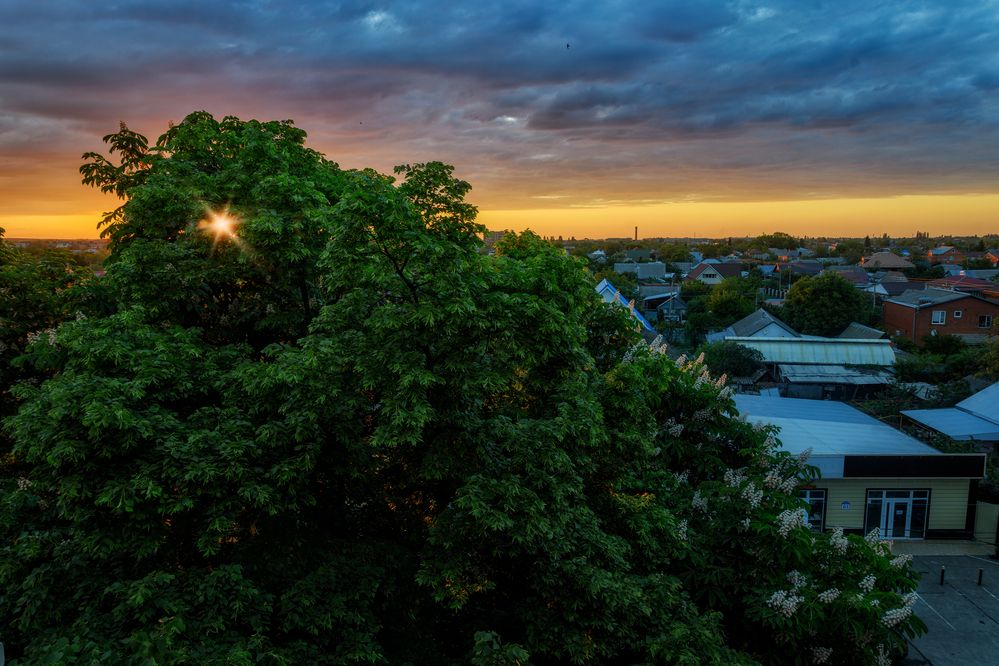 Photograph by Владимир Кваша