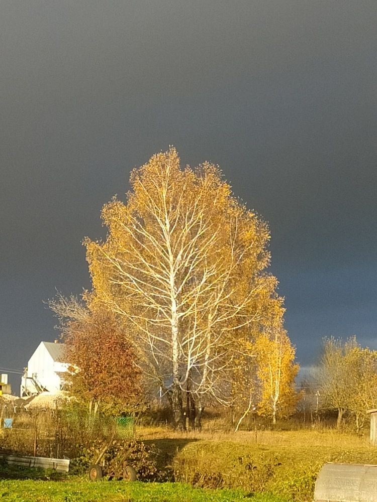 Photograph by Юрий Гордеев