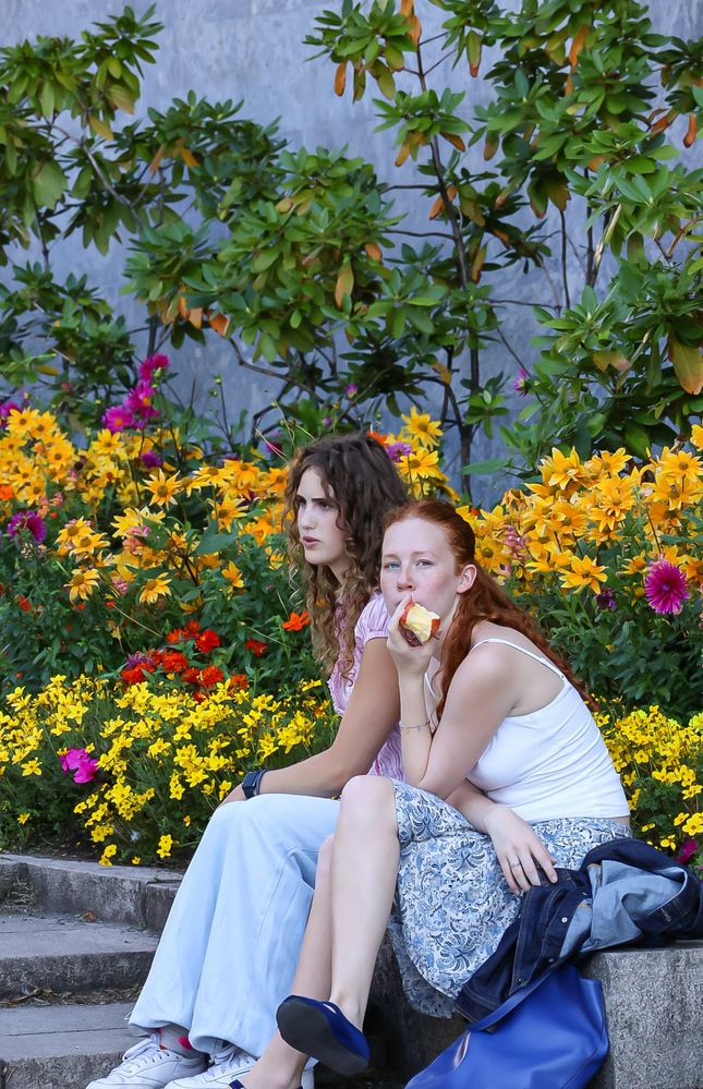 Photograph by Grădinaru Catalin