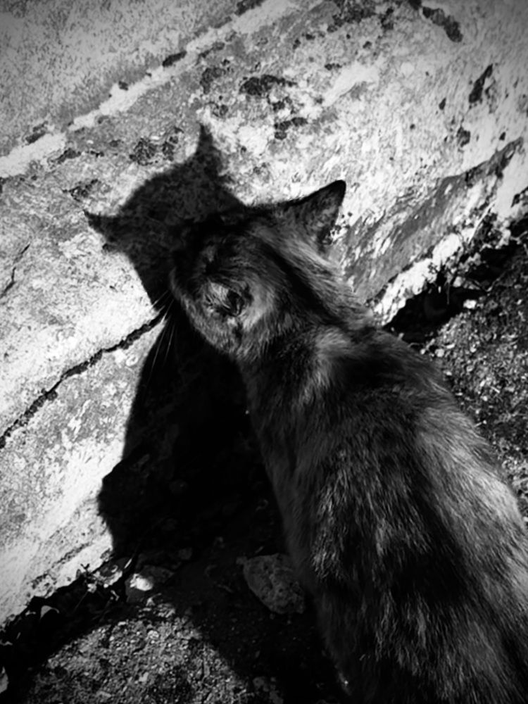 Photograph by Екатерина Хузина
