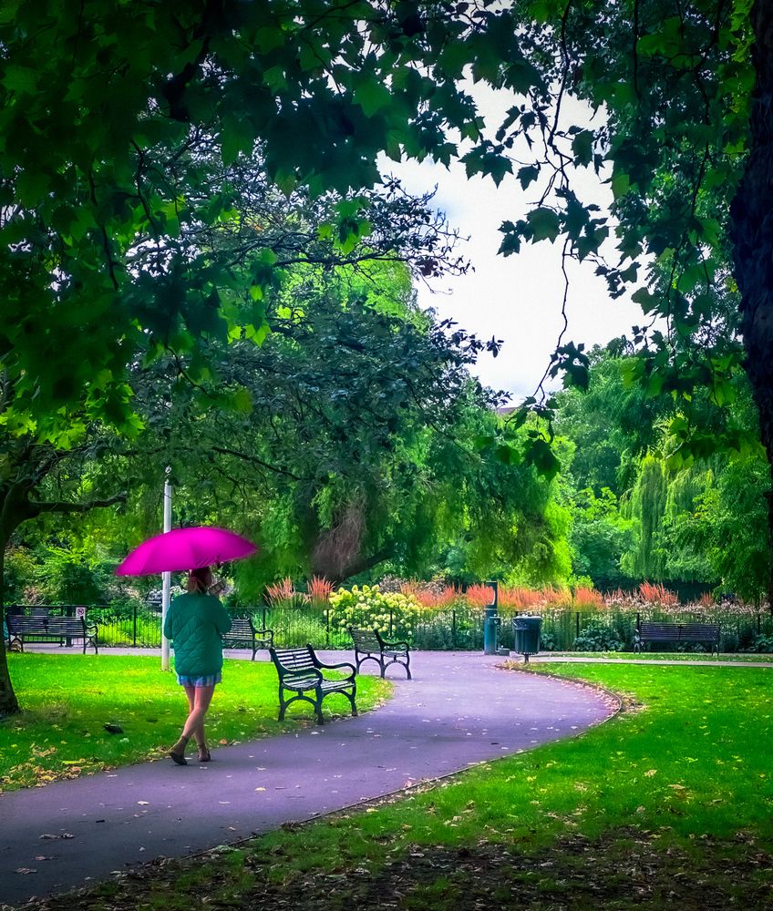 Photograph by shahoo moradi