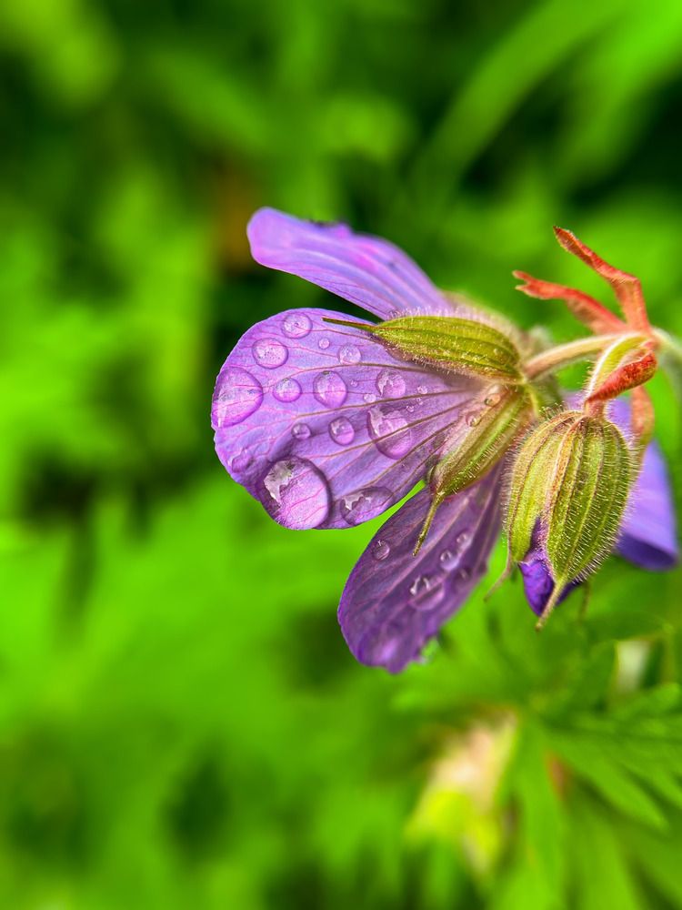 Photograph by Наталия Соболева