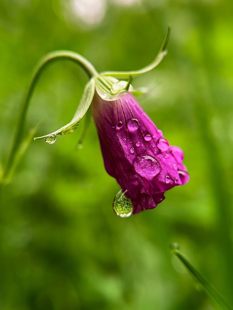 Photograph by Наталия Соболева
