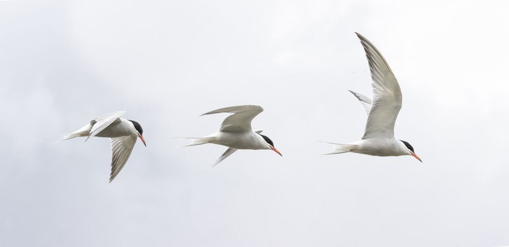 Photograph by Евгений Салаев