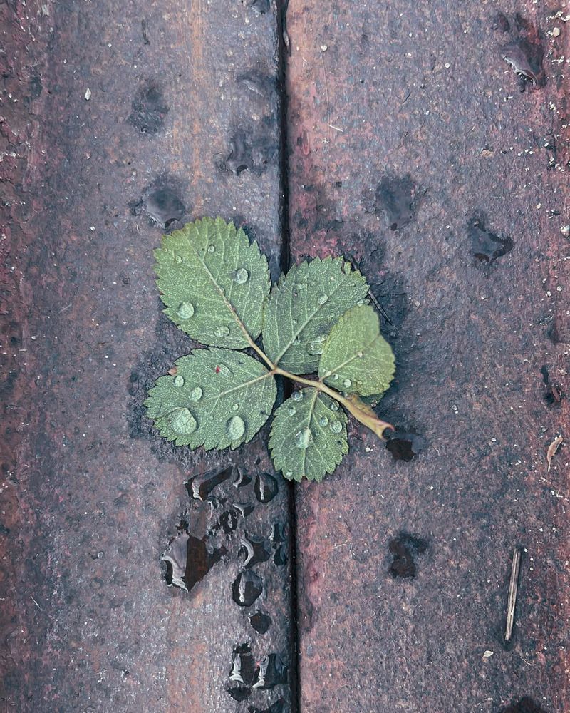 Photograph by Наталия Соболева