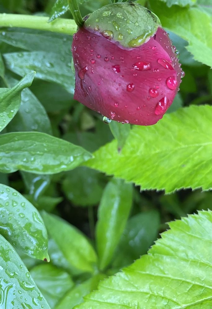 Просыпаюсь