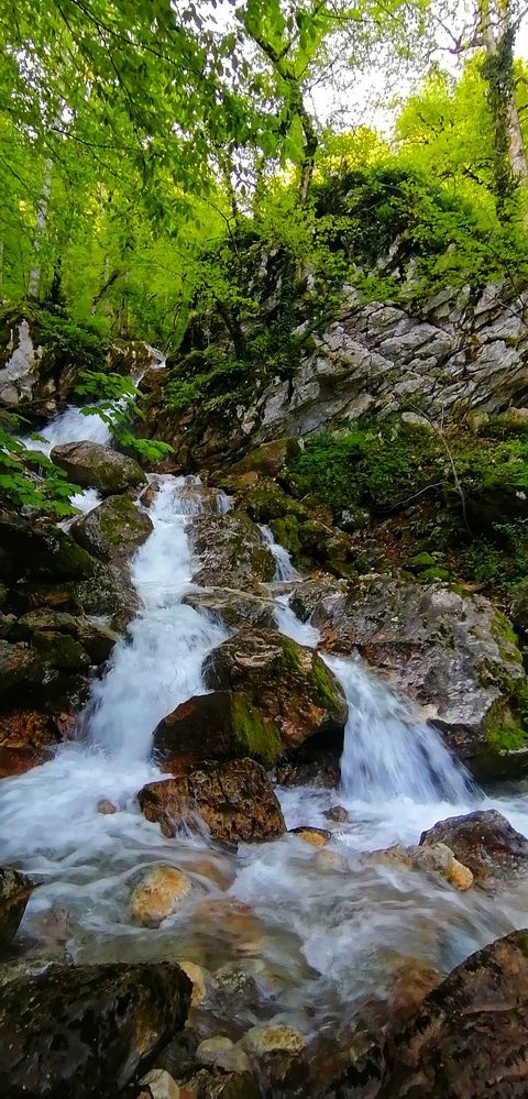 Фотография автора Ahmad Yazarloo