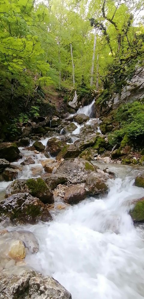 Фотография автора Ahmad Yazarloo