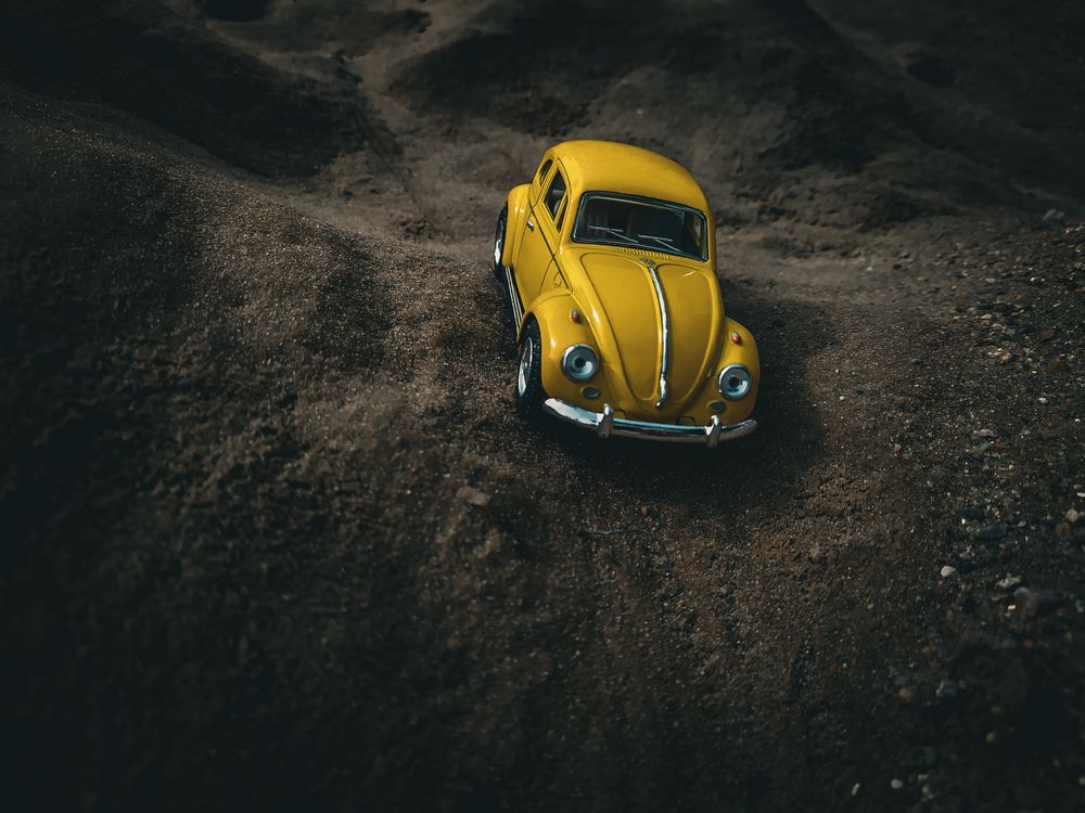 Фотография автора Екатерина Никитина