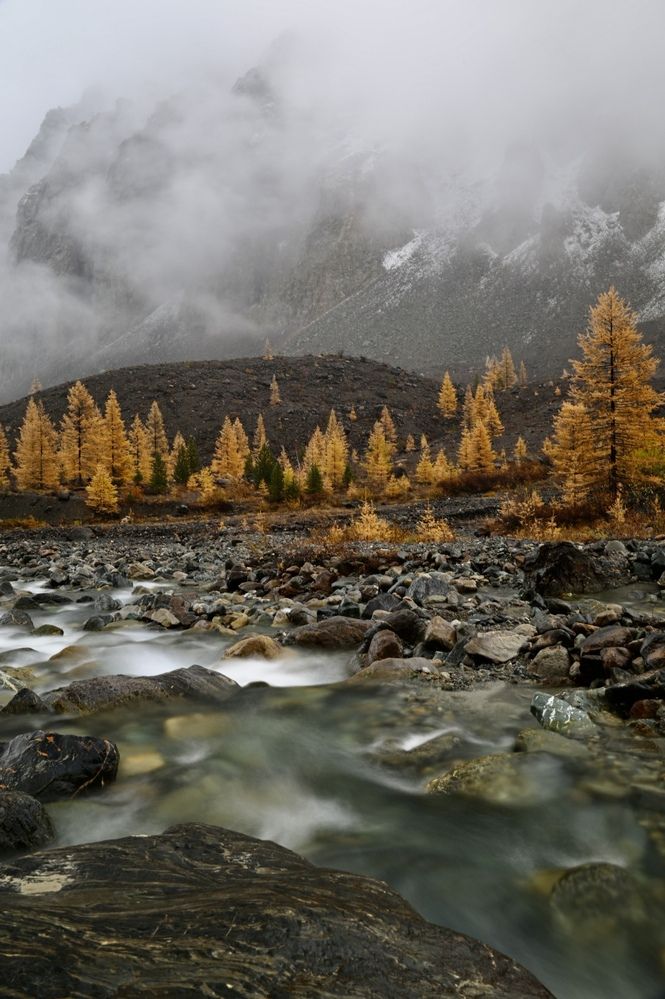 Photograph by Геннадий Кравченко