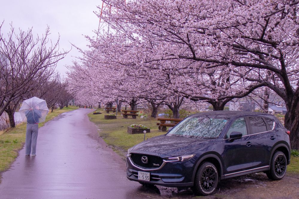 Photograph by kurodon