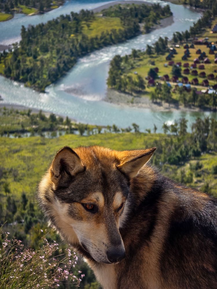 Photograph by Игорь Кабанов