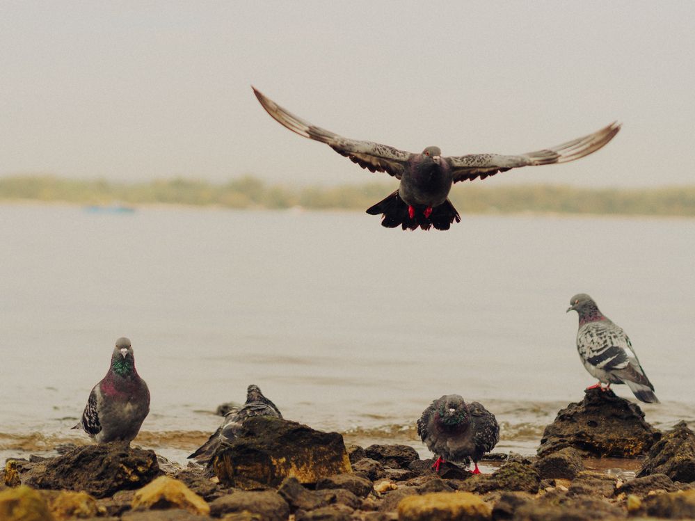 Photograph by Юлия Белоусова
