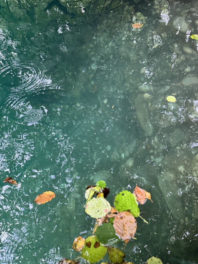 Photograph by Бойкова Наталия