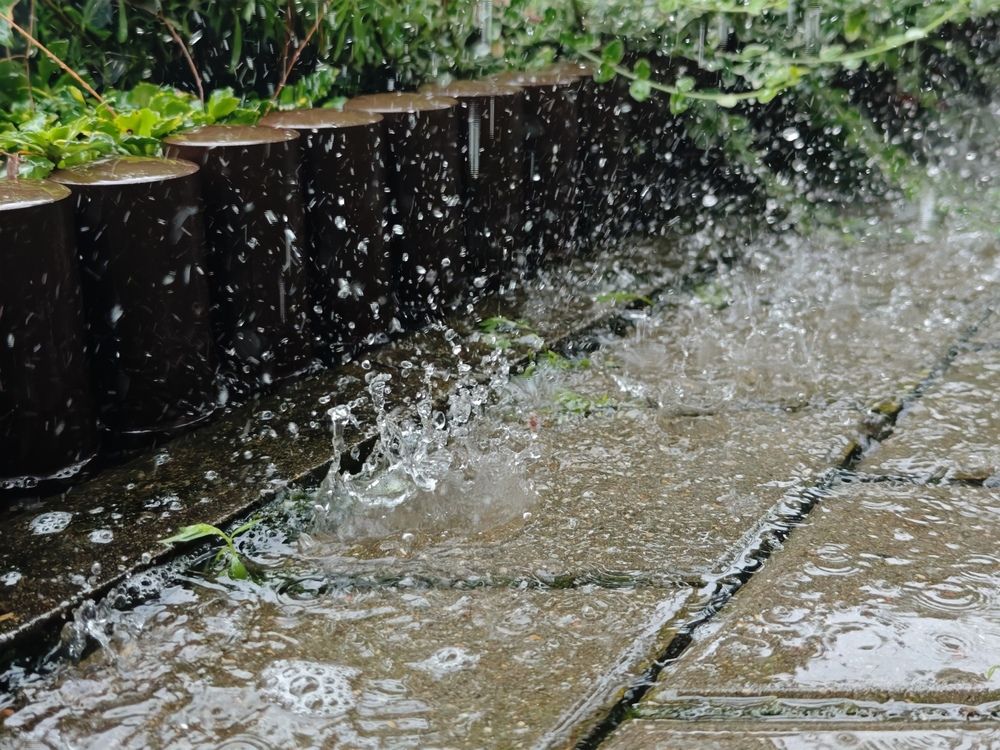 Photograph by Татьяна Соколовская