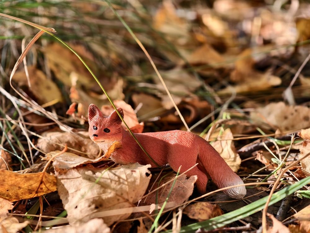 Photograph by Галина Бессуднова