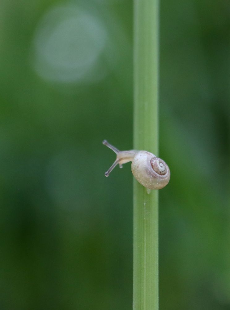 Photograph by Ирина Корабельникова