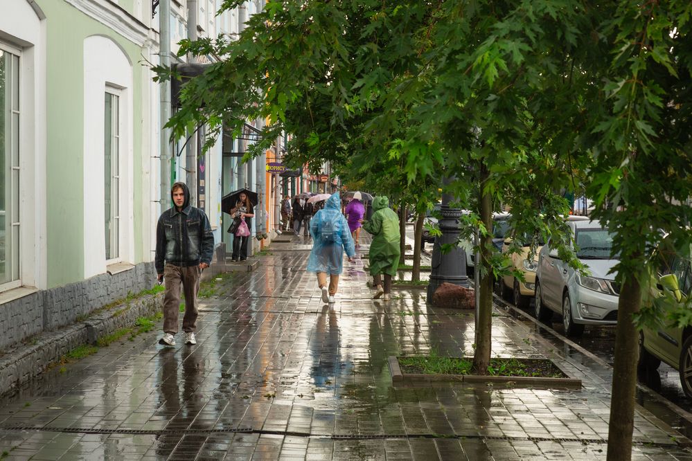 Фотография автора Вячеслав Коробов